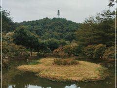 -田野绿世界