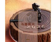 -私人做法(苹果社区店)