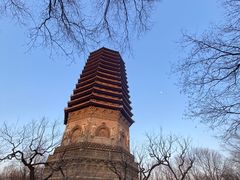 -玲珑塔公园
