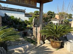 -龙大花卉苗木市场