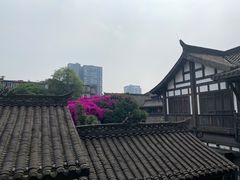 -星巴克臻选(成都宽窄巷子店)