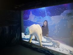 -暹罗海洋世界