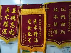 -西安京西宠物医院·瘫痪·疑难杂症