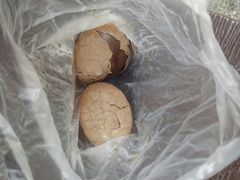 -金盆阿嬷香菇茶叶蛋(玄光店)