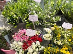 -循礼门鲜花花市(武汉循礼门店)