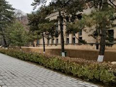 -延安杨家岭革命旧址