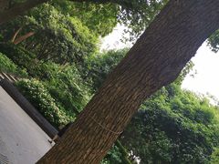 -常州古运河南大街文化旅游区-人民公园