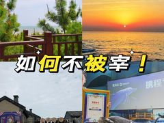 -渡海小渔村.老辈日照菜