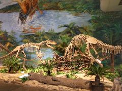 -自贡恐龙博物馆