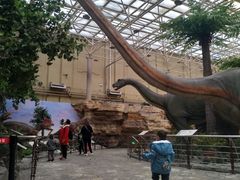 -国家自然博物馆