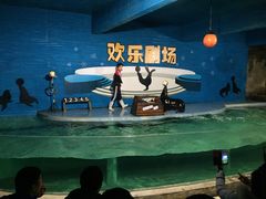 -南昌海洋公园