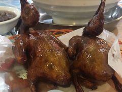 -石岐乳鸽村(桥观坊南四巷店)