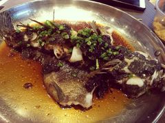 笋壳鱼-盒马鲜生(曜一城店)
