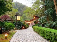 -明月山天沐温泉度假村