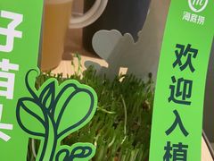 -海底捞火锅(漕宝路店)