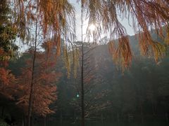 -广州市白云山风景名胜区