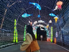 -厦门方特东方神画