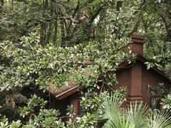 -WeLope紫金山探险公园