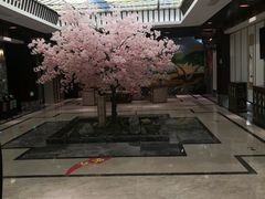 大堂-添赐温泉馆(上南路店)