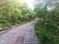 -分塔山省级森林公园
