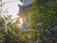 -深圳国际园林花卉博览园