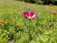 -贵阳市花溪国家城市湿地公园