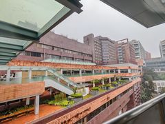-香港大学