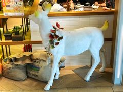 -MELLOW BROWN COFFEE by UCC(沙田新城市广场1期店)
