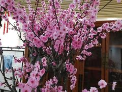 -石家庄市植物园