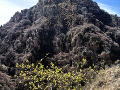 -京东石林峡风景区