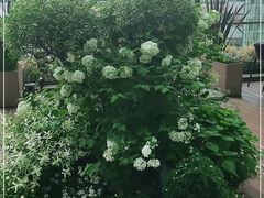 -La Terre乐田(万象城店)