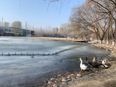 -蓝地时尚庄园(北京清河营地铁站店)