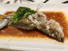 -香港富临皇宫(五月花商业广场店)