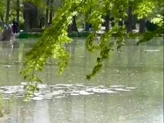 -洛阳市隋唐城遗址植物园