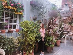-The Grounds of Alexandria