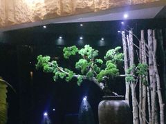 -纽斯桑拿会所(天山店)