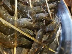 生猛白虾-渔米粥(罗湖店)