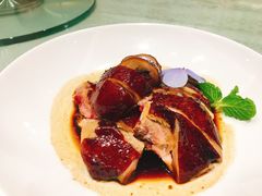 鼓油鸡-南山鲜虾面·活鲜小馆·海味大连菜(南山总店)