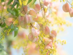 -白塘生态植物园