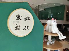 -飞行喵MR PILOT|猫舍·猫咖(静安大融城店)
