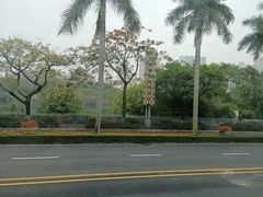 -白鹭洲公园