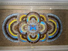 -上海昆虫博物馆