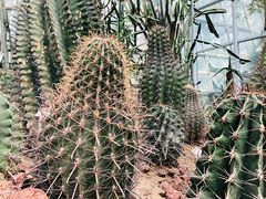 -郑州植物园