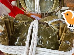 -阳澄湖大闸蟹·琼灵阁牌品牌连锁(吴中总店)