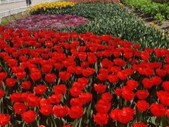 -玄武湖景区-情侣园游乐场