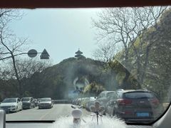 -上海佘山国家森林公园天马山园