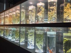 -广东中医药博物馆