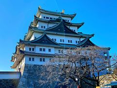 -名古屋城