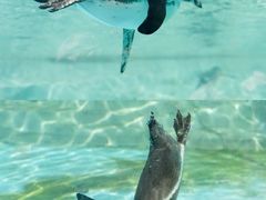 -武汉动物园