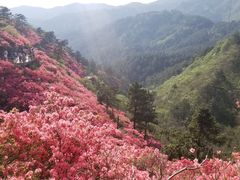 -木兰云雾山